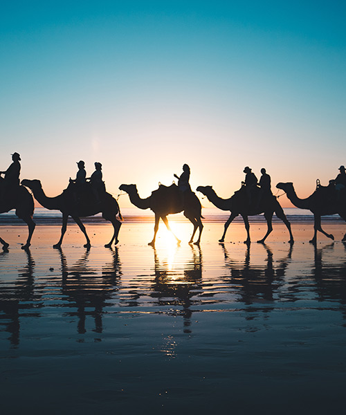 cable beach broome camel sunset tour